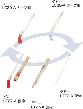 グループB